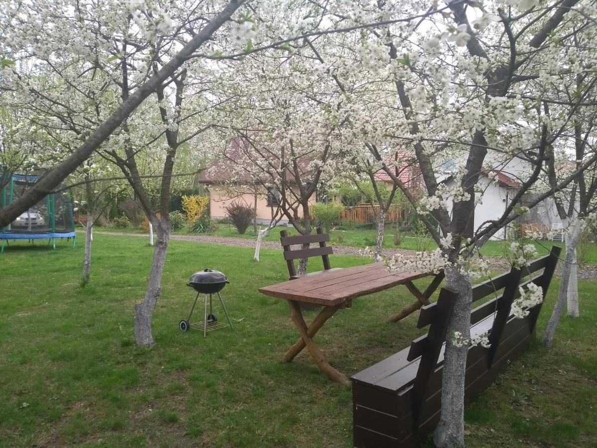Smyrkowy Dom Z Kominkiem Z Goraca Balia Kolo Karpacza Janowice Wielkie Exterior photo